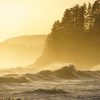 Sealaska