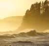 Sealaska
